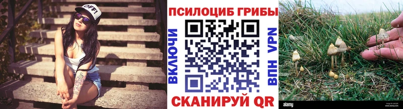 Галлюциногенные грибы Psilocybe  Купить  Котельниково 